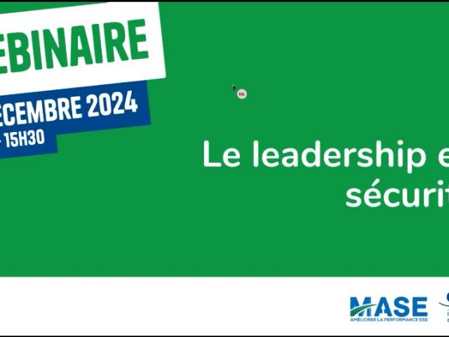 Capture écran Webinaire